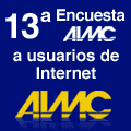 Encuesta numero 13 AIMC